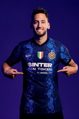 养了许多国 养了许多国