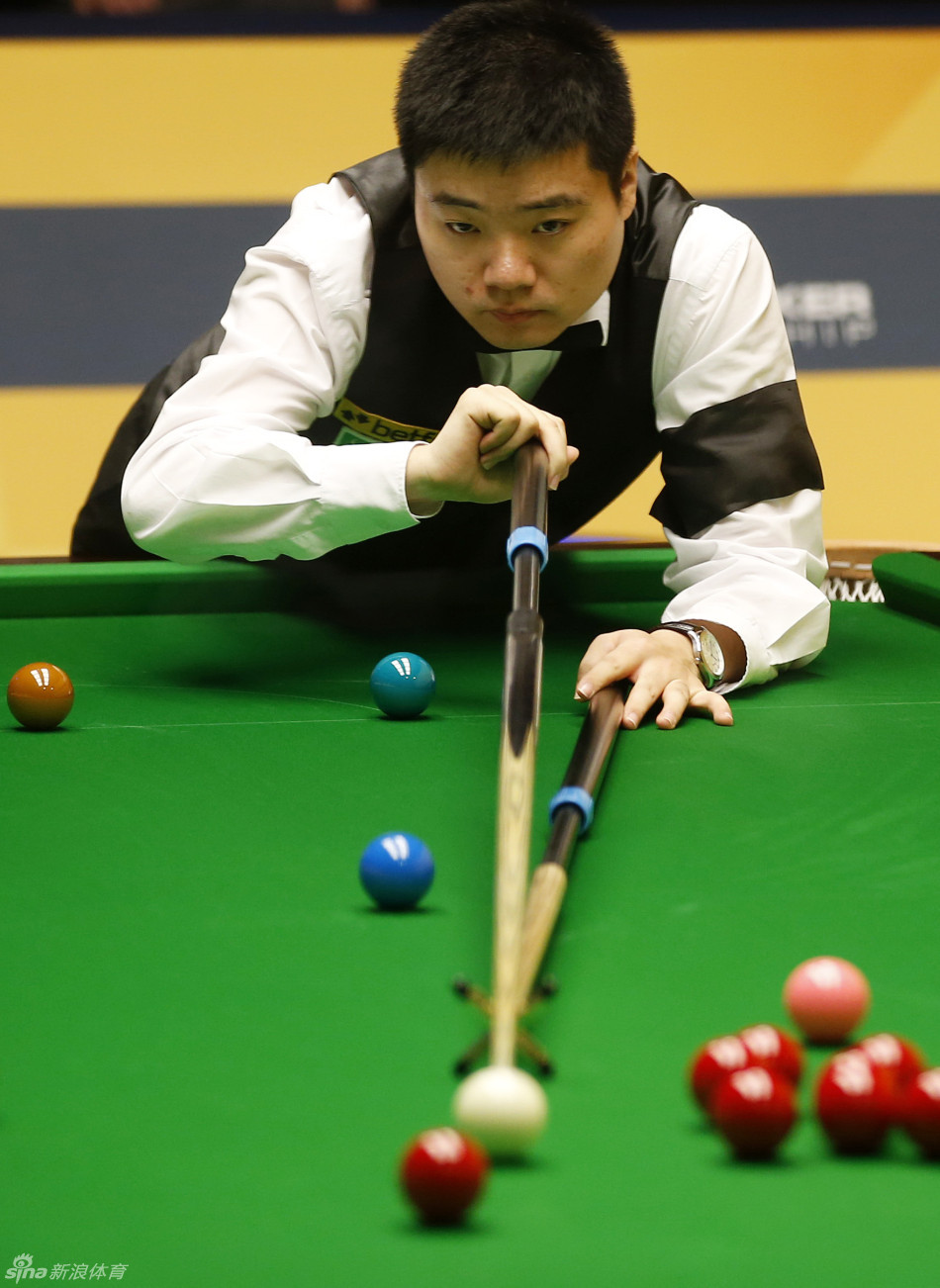 种普遍的体 种普遍的体